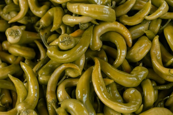 Découvrez l'application haccp gratuite pour une sécurité alimentaire efficace